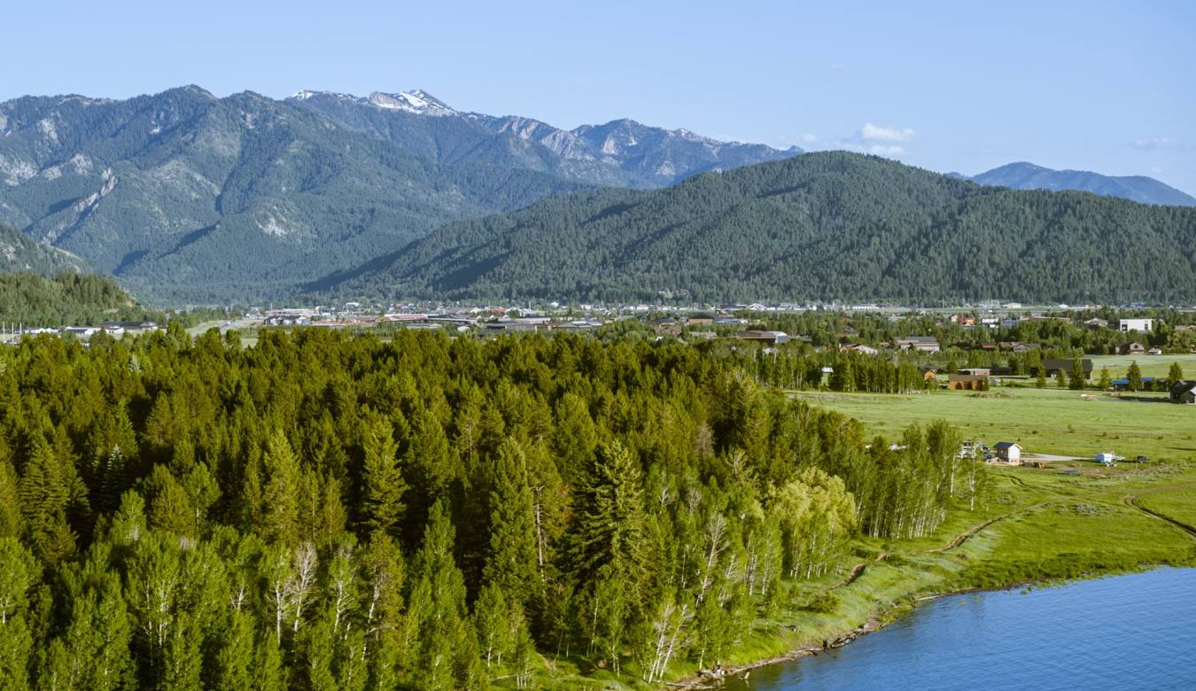 Welcome to the Town of Buena Vista